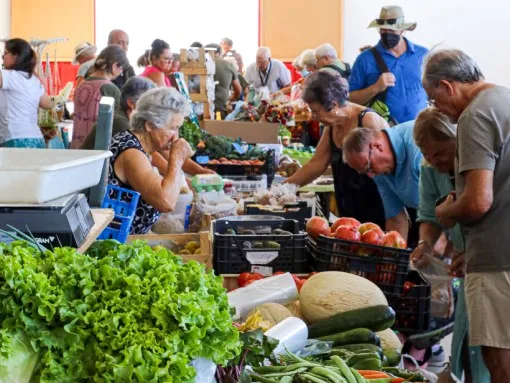 Animação musical no viv’o mercado – Outubro