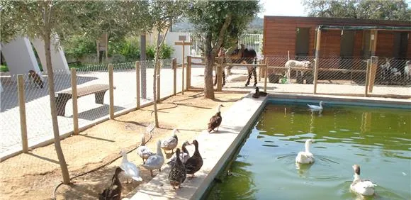 Quinta do Peral - o Mistério da Água Desaparecida